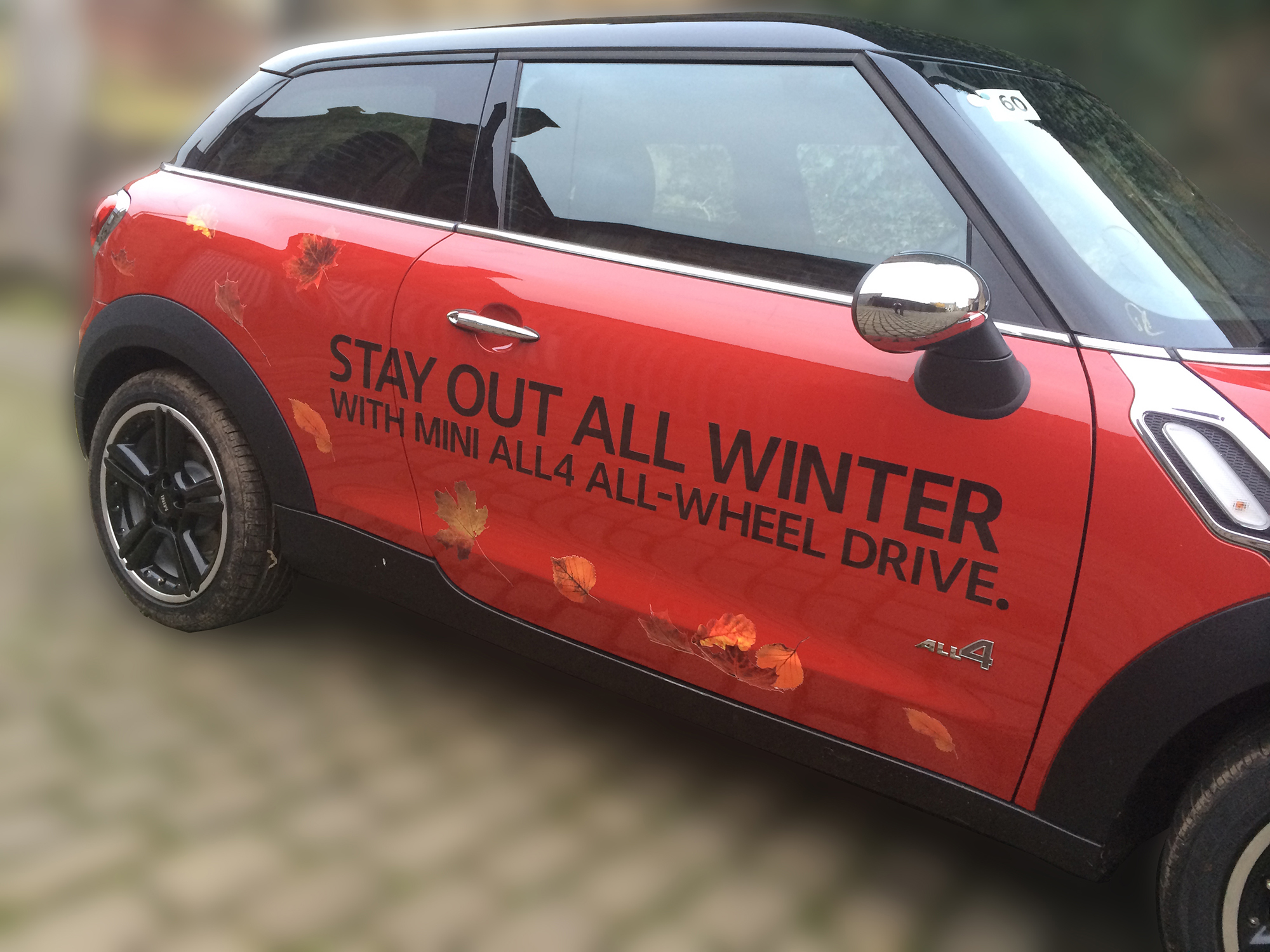 Car Graphics